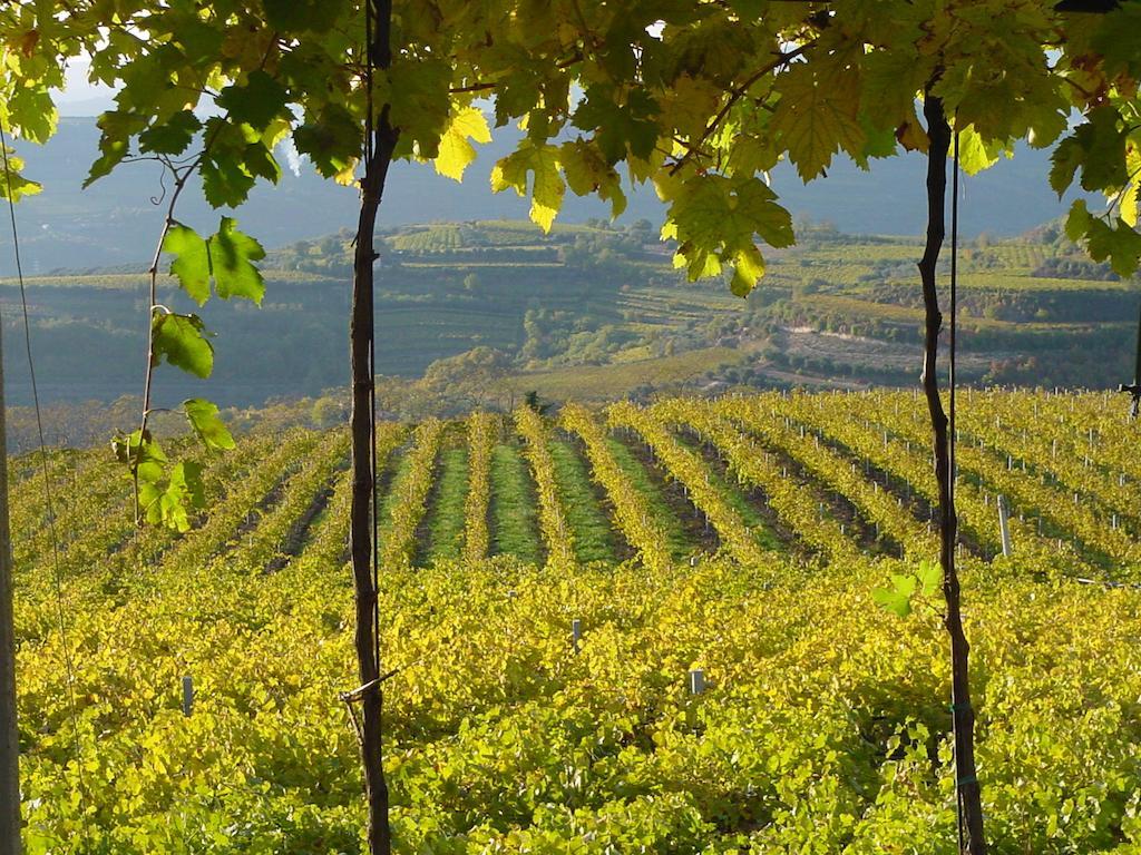 B&B Camignone Franciacorta Passirano Eksteriør billede