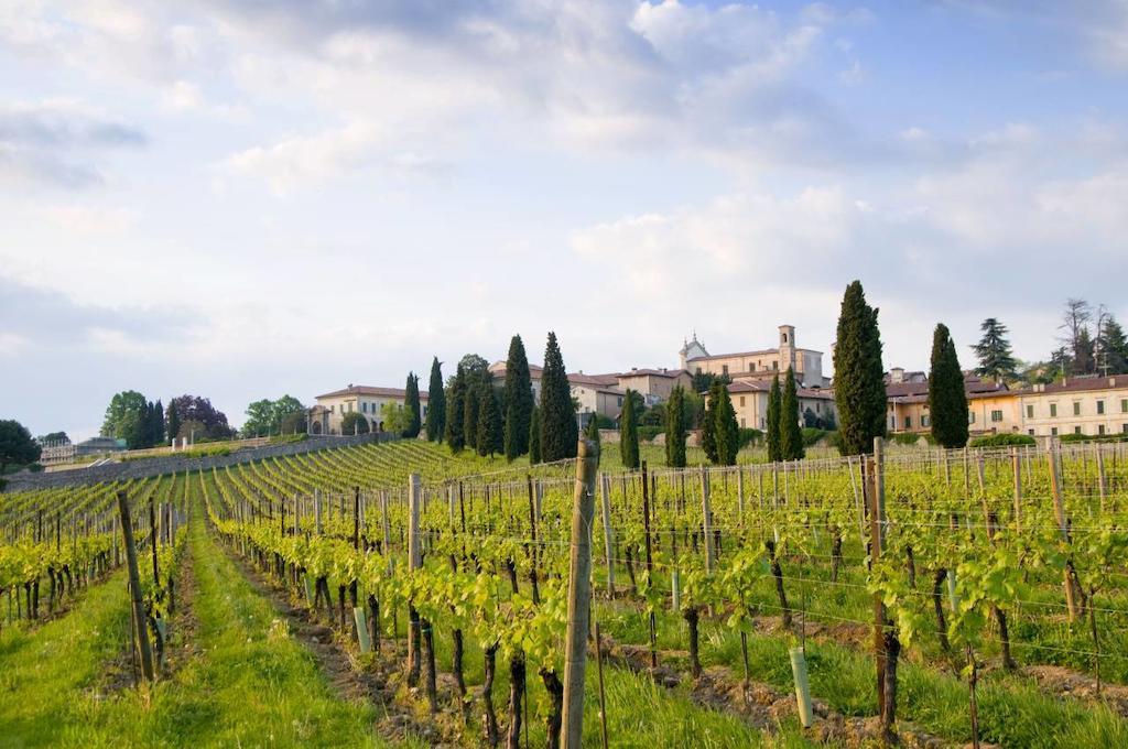 B&B Camignone Franciacorta Passirano Eksteriør billede